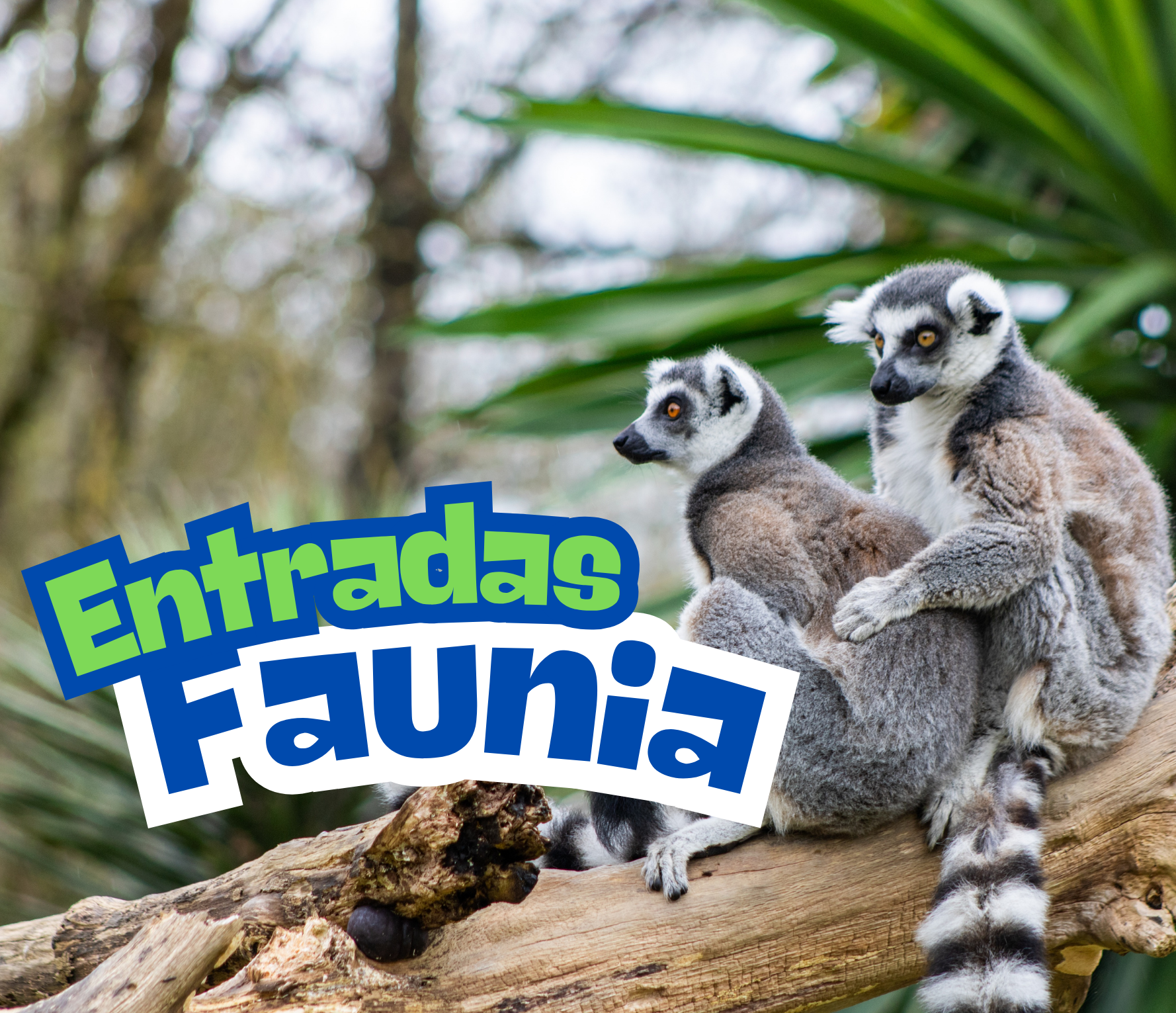 Entradas a Faunia